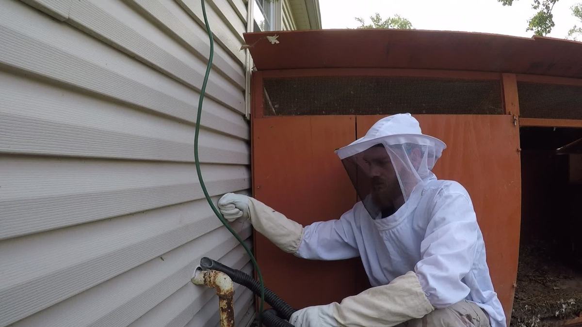 Beekeeper working at the siding of a house