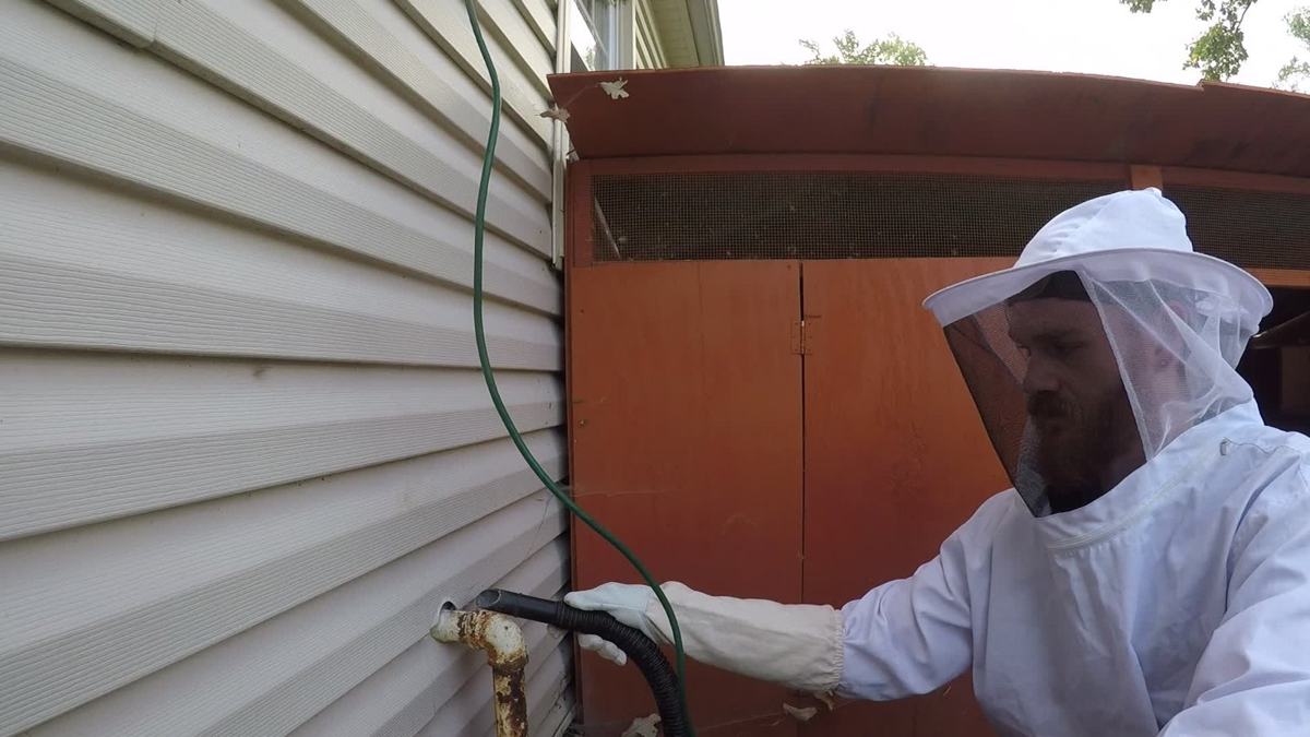 C.D. Bees technician in bee suit and veil outside a house